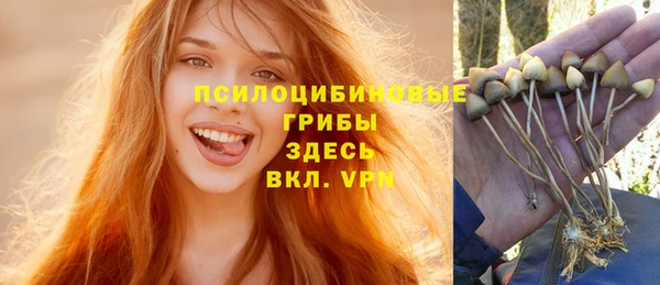 а пвп мука Аркадак