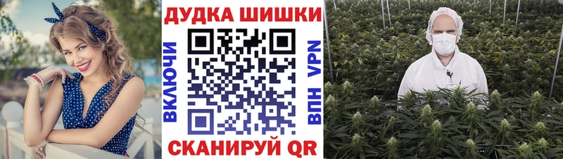 Купить где Шиханы Конопля Amnesia